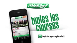 Pub - Pocketurf